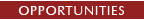 button-studio.JPG (2802 bytes)