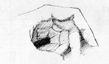 Hand Study